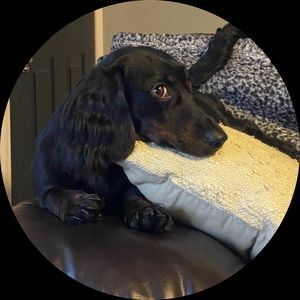 Meet your Posher, Alacia